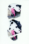 X20 (dogs) (2011)